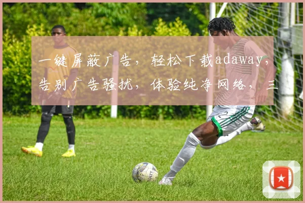 一键屏蔽广告，轻松下载adaway，告别广告骚扰，体验纯净网络，三步轻松设置