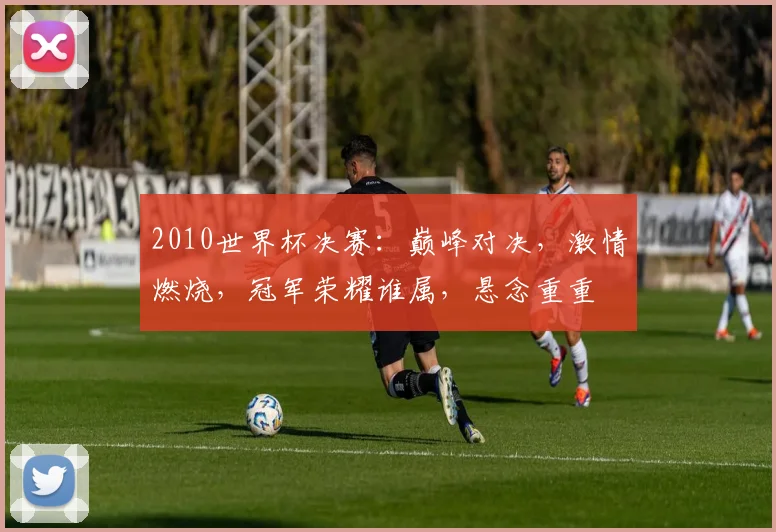 2010世界杯决赛：巅峰对决，激情燃烧，冠军荣耀谁属，悬念重重