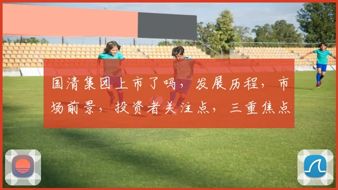 国清集团上市了吗，发展历程，市场前景，投资者关注点，三重焦点解析