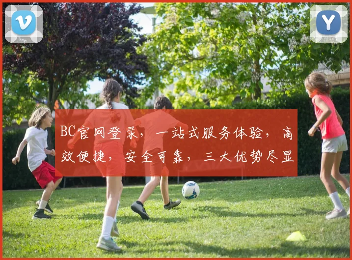 BC官网登录，一站式服务体验，高效便捷，安全可靠，三大优势尽显