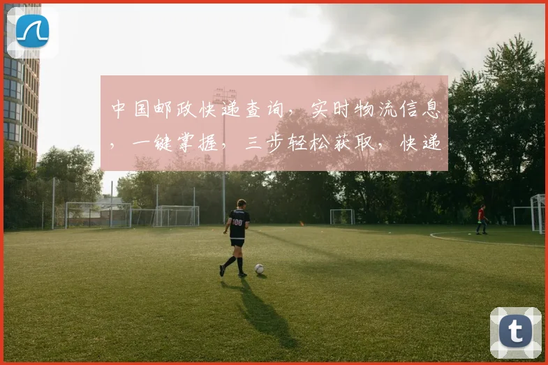 中国邮政快递查询，实时物流信息，一键掌握，三步轻松获取，快递追踪无忧