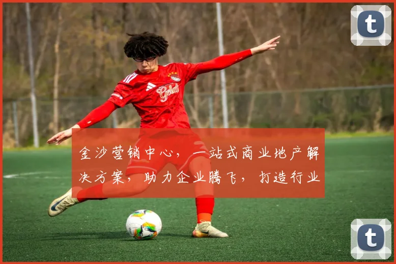 金沙营销中心，一站式商业地产解决方案，助力企业腾飞，打造行业新标杆，创新共赢