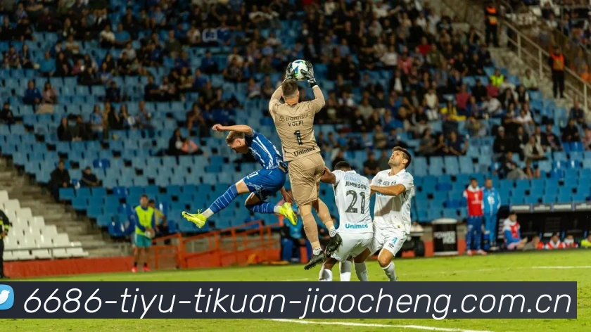 奖项证书